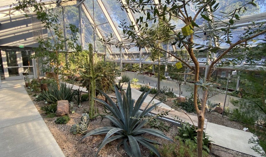 Wellesley College Botanic Gardens, United States